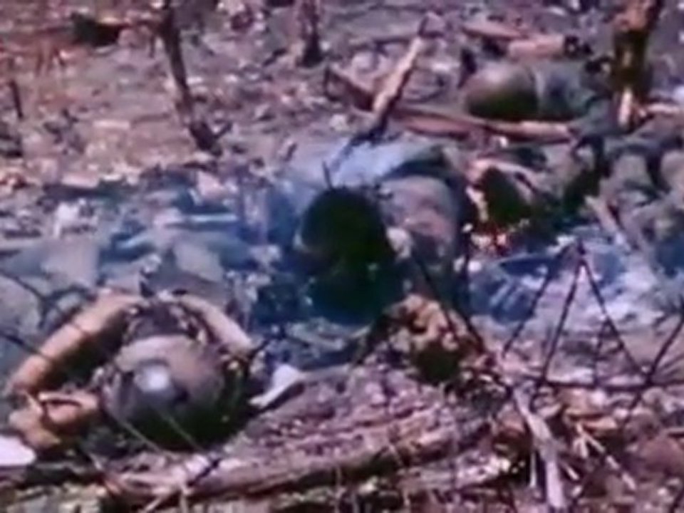 Les Films Perdus De La Seconde Guerre Mondiale - Jour J