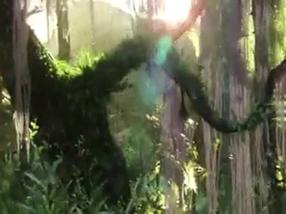 Avatar (2009) www.moovie.tk3.net