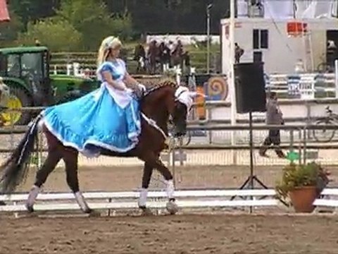 RLM Lamotte Beuvron 2011, Alice au Pays des Merveilles, Médaille d'argent