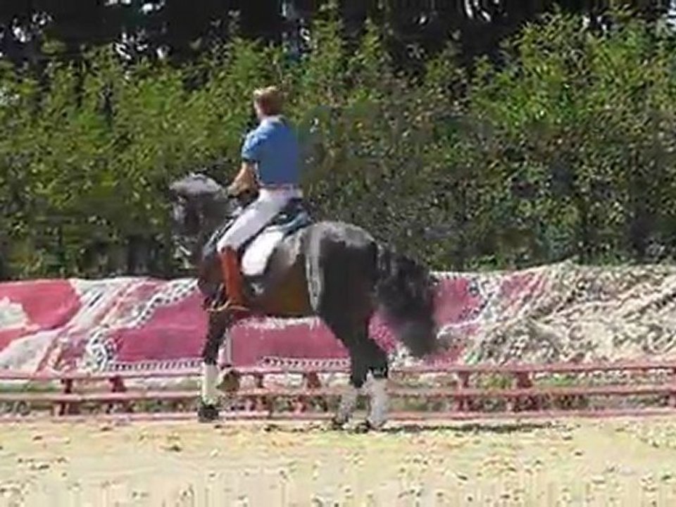 EG et R Changts pieds