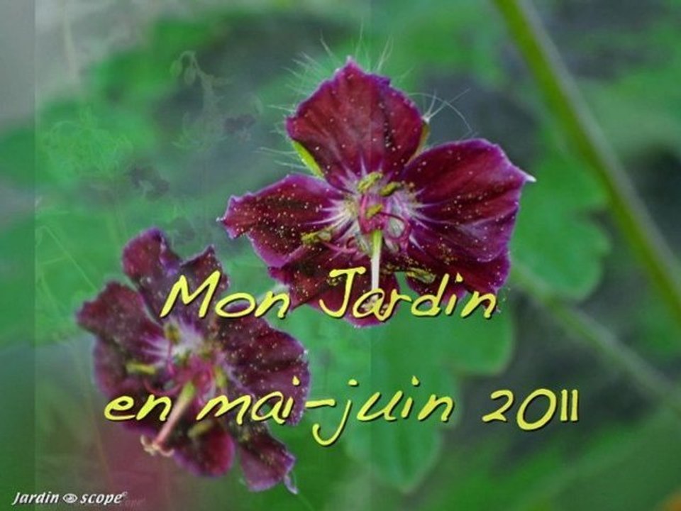 J'ai descendu dans mon jardin...au mois de mai-juin 2011