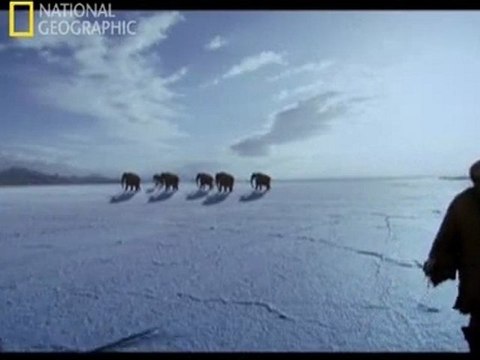 NG | Bilimin Ta Kendisi: Buzul Çağının Ertesi