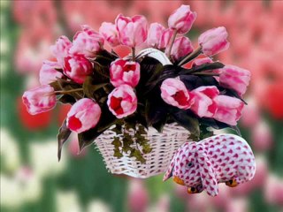 مصطفى كامل انا ازعلك حبيبى - YouTube