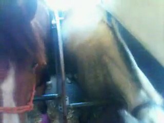 Oniris, Jacomo et Black Lady en voyage