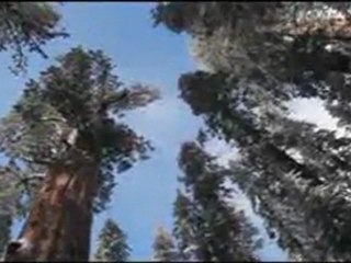 Dinka ft. Civil Servants - Along The Road (Album Version) [HQ]