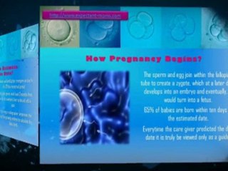 Expectant Moms:  Pregnancy Calculator