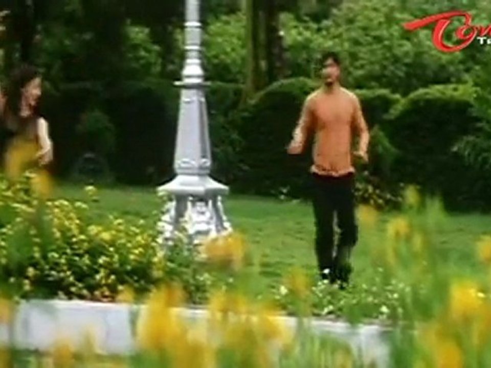 Cash - Nuvvu Nenani Verukadani - Melody Song