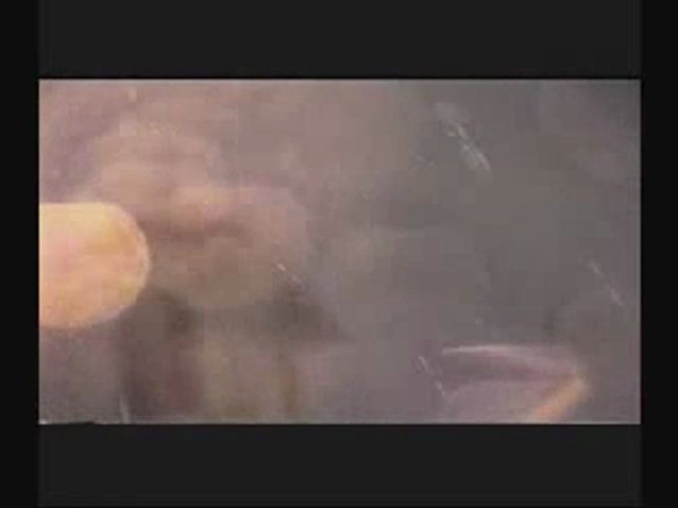 aM battOm - Urban Vafur