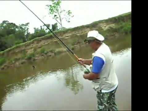 Fly Fishing Treinanddo Spey e fisgando piabanhamp4