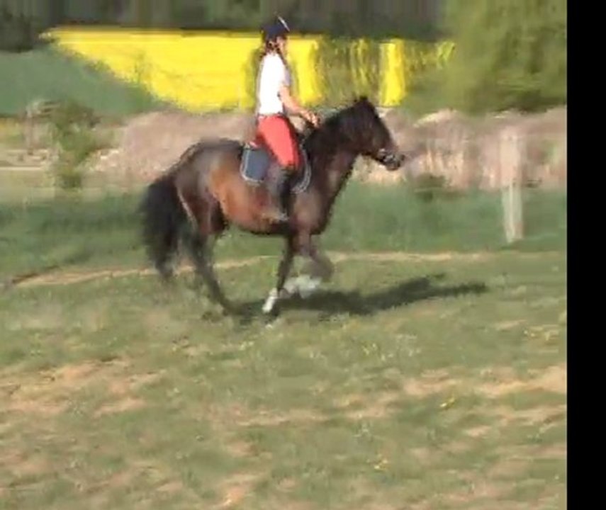 Chloé & Scintilla parcours