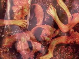 Whatever will be will be!