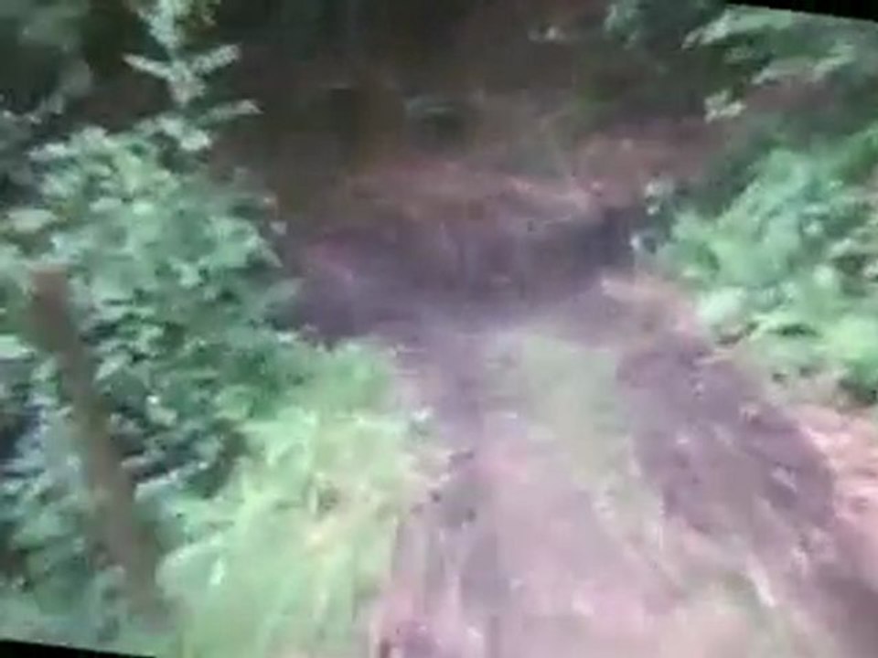 descente vtt col de Ris