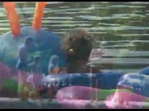 Camping Ardeche en accès direct à la rivière - Le Soleil Vivarais