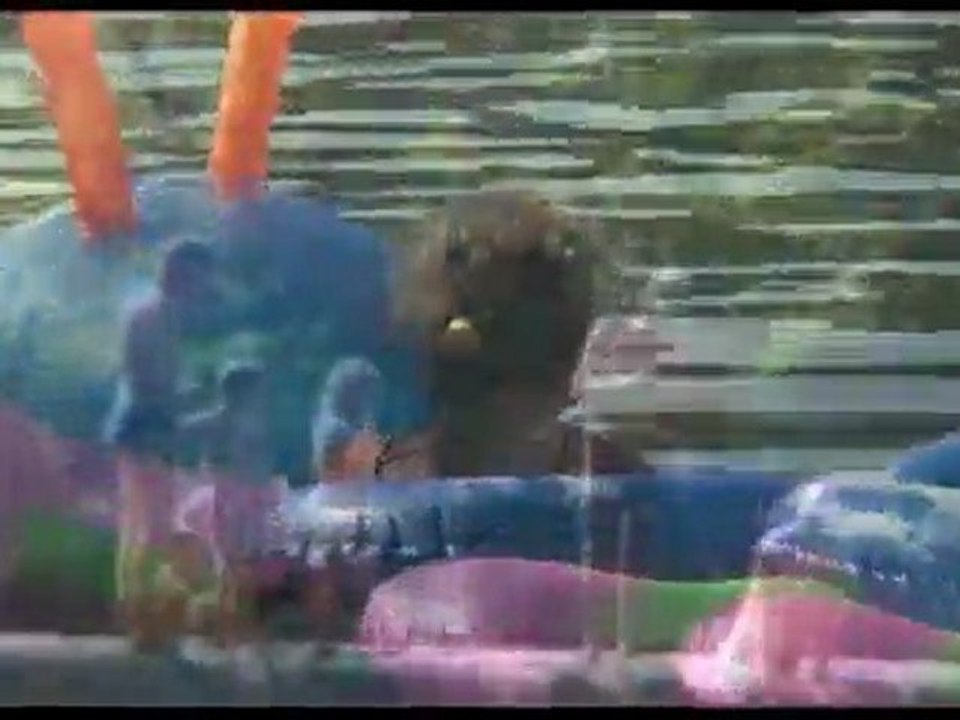 Camping Ardeche en accès direct à la rivière - Le Soleil Vivarais