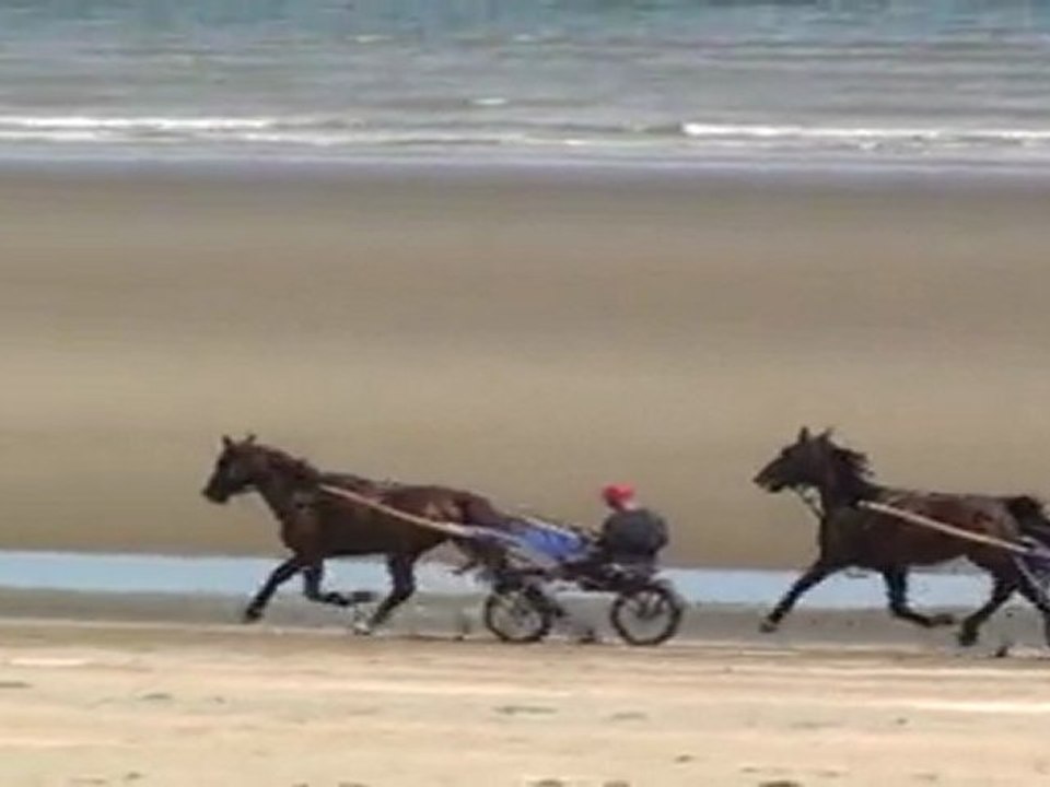 SAPHIR ET US FORCE SUR LA PLAGE