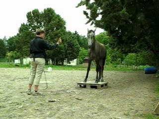 07.11 liberte palette