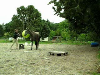 07.11 liberté pousse la balle