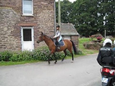 Scooters en balade - Priorité aux chevaux - Juillet 2011