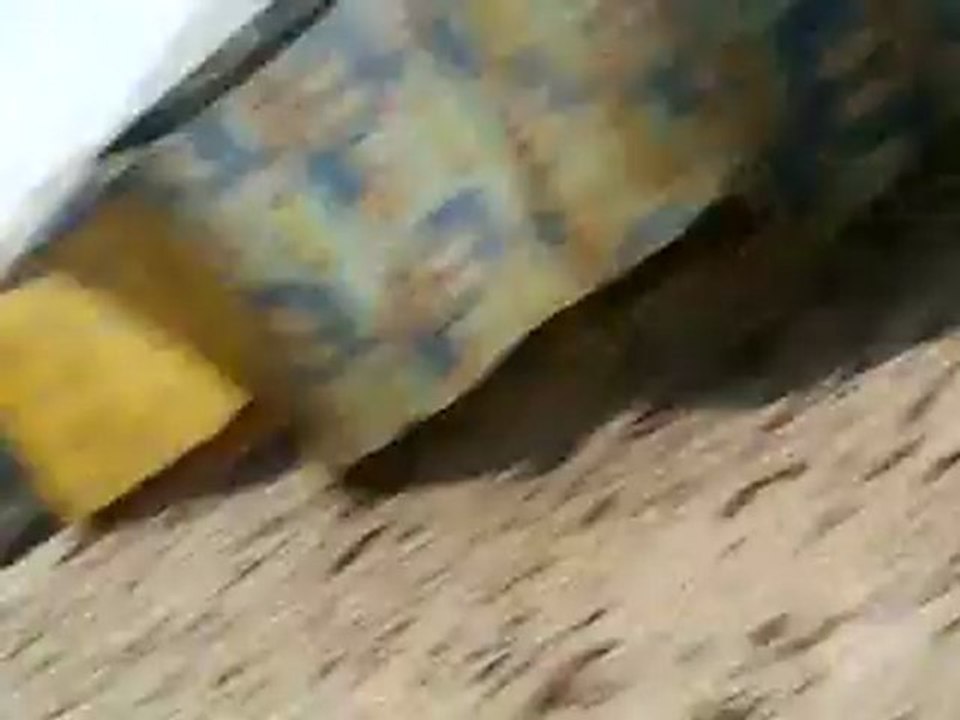 sm yani