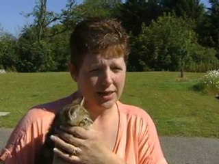 Kitten survives washing machine ordeal