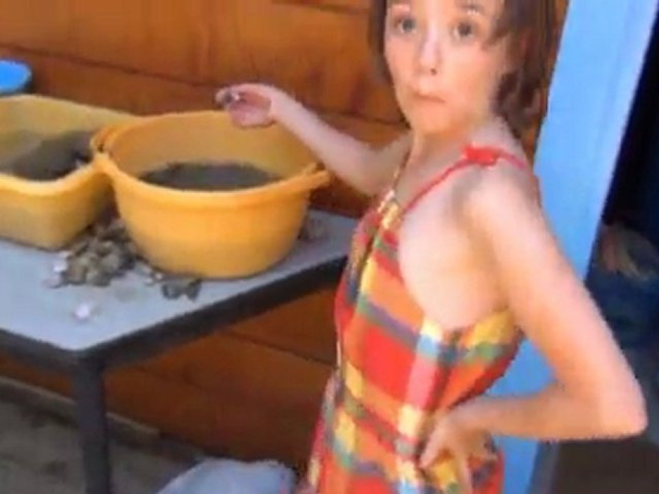 Penestin juillet 2011