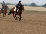 Galop dans les champs :)