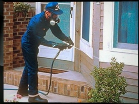 Are There Any Alternatives Other than Serviced Offices Gold Coast?