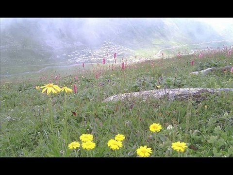 çamlıhemşin yaylalar-33-