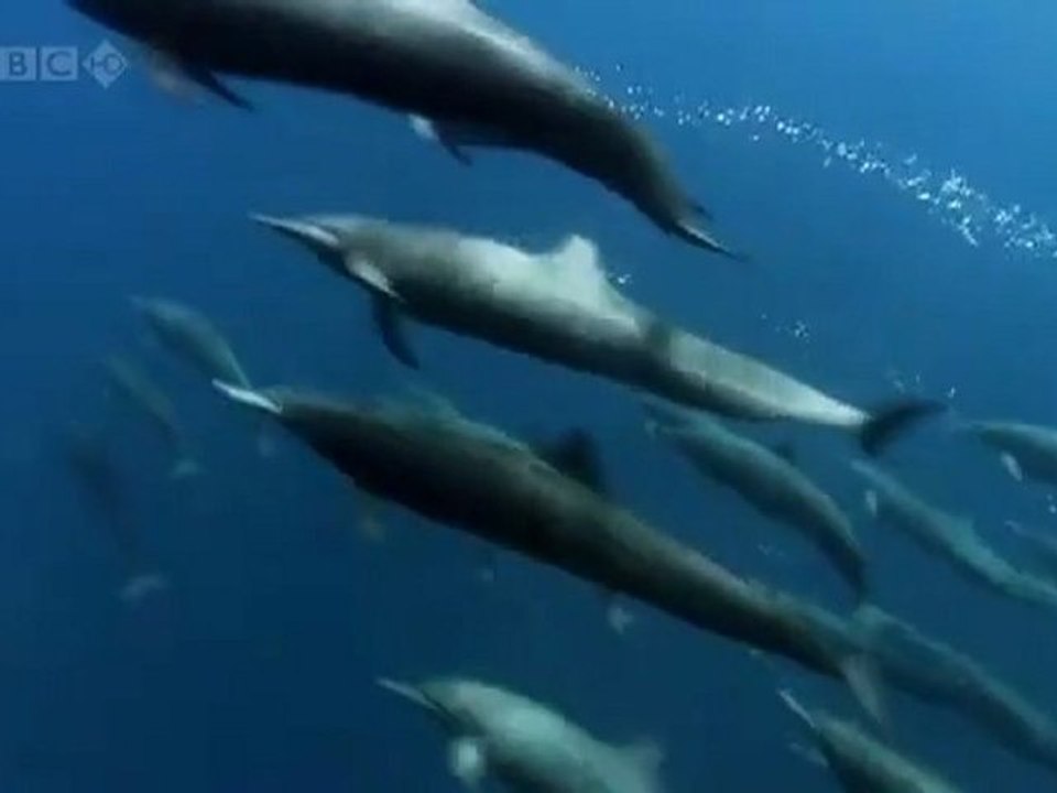 Wonderful Chill Out Music - The Ocean [HD]