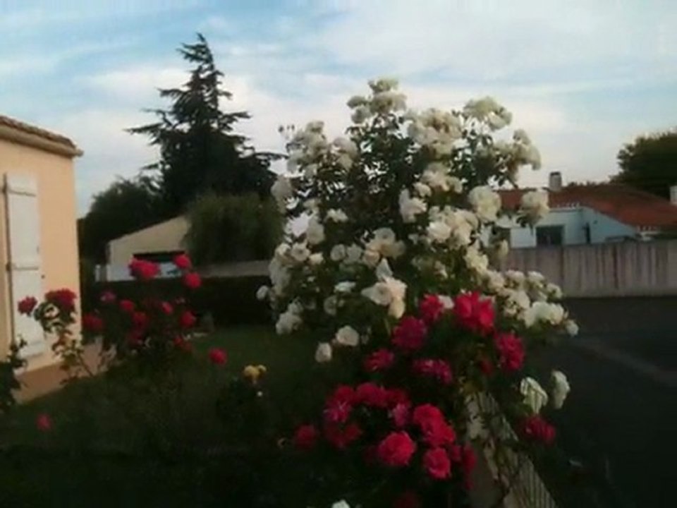 Bonsoir -IMG_0426