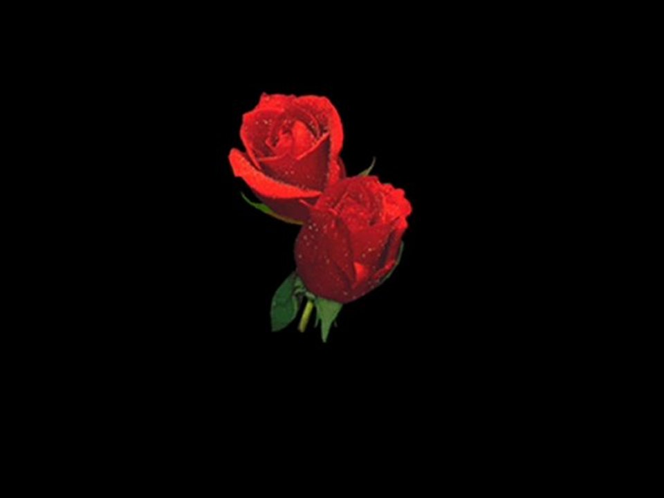 TEK MEFRETİMSİN ŞİİRLİ(SEVDAMIZ TOKAT)