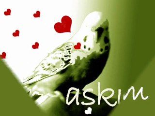 BİR 'AŞKIM' FİLMİ
