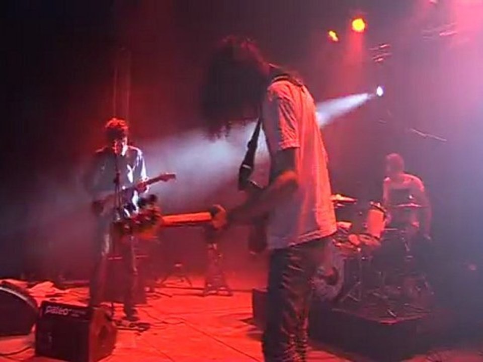 Welington irish black warrior