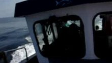 MOV04927