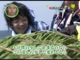 ■日本の名曲(番外編)■arashi【Green】