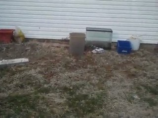 What to do outside this summer with my garden pond and ...