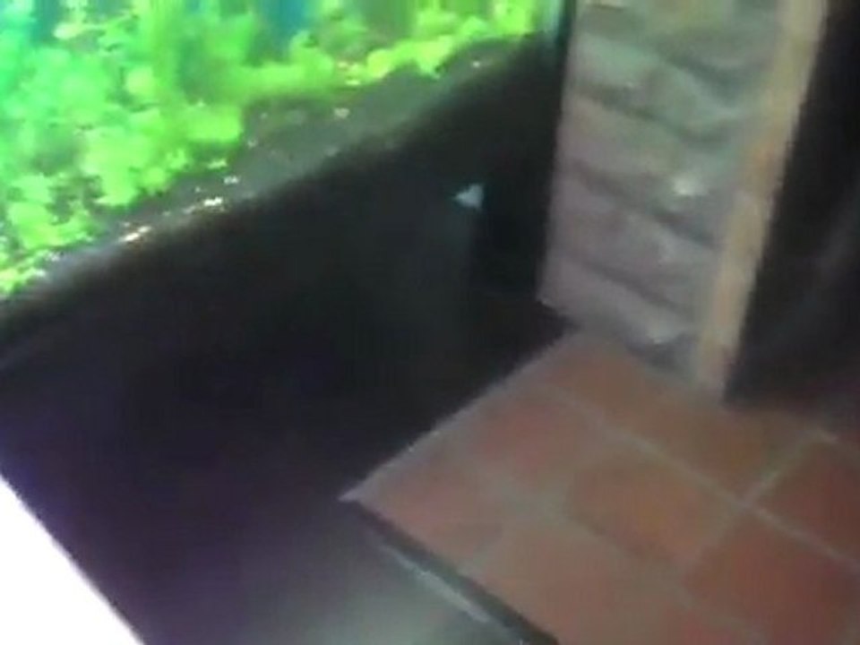 Taking back the Reef. Water changes on the Reef tank.
