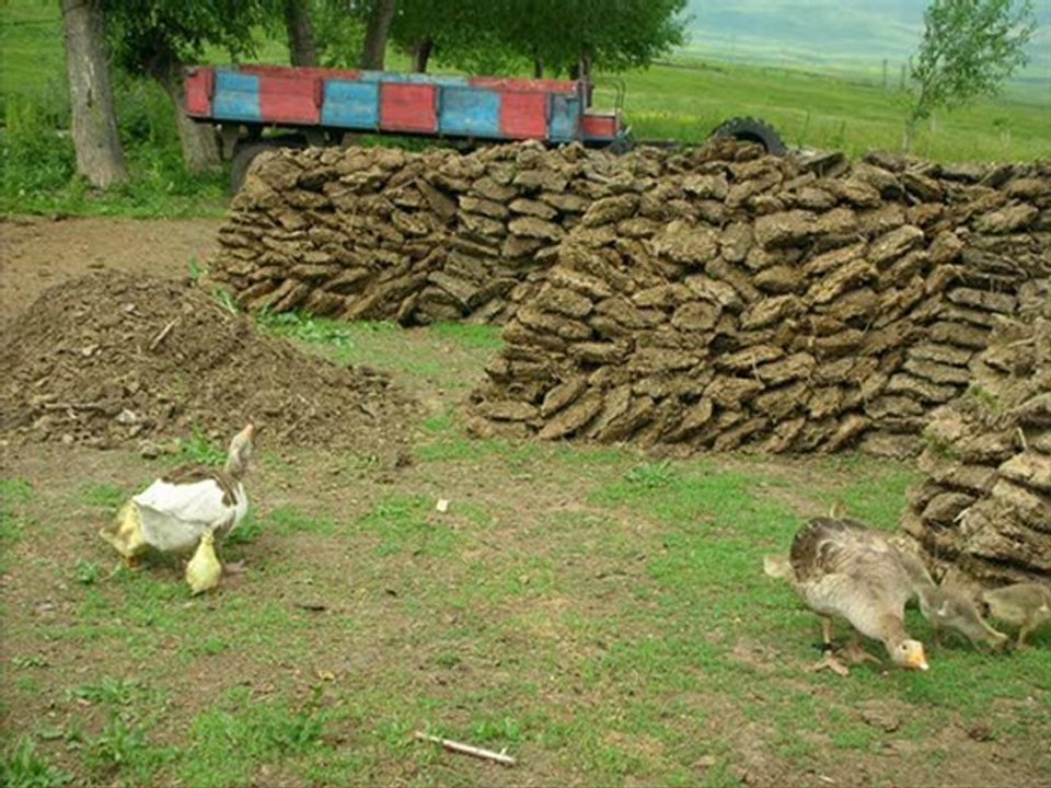 dengbej ASKER DEMİRBAŞ hekimo @ MEHMET ALİ ARSLAN Videos