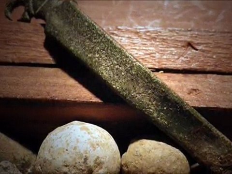 mes plus belles trouvailles du mois de juillet 2011