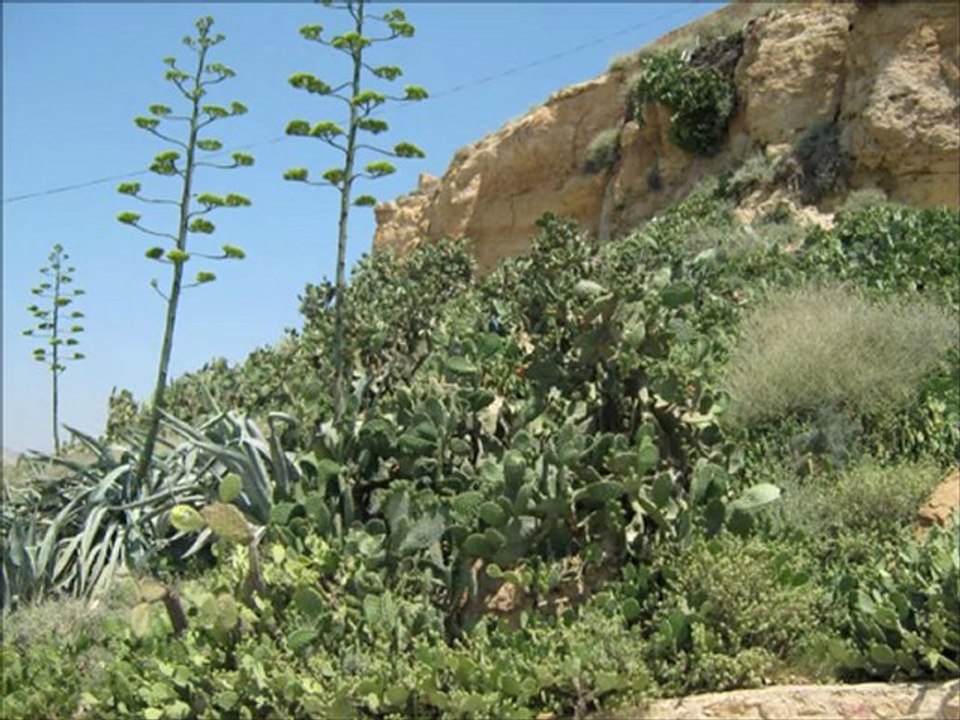 Mon film excursion Jeradou,Takrouna HAMMAMET VILLAGE JUIN 2011