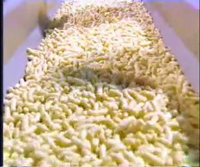 Fıstık paketleme makinası