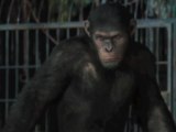 El origen del planeta de los simios - Sobre la historia