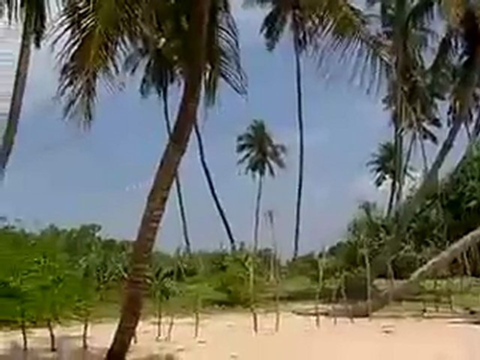 Tour Sri Lanka, Travel Sri Lanka, Hotels in Sri Lanka, Holiday in Sri Lanka