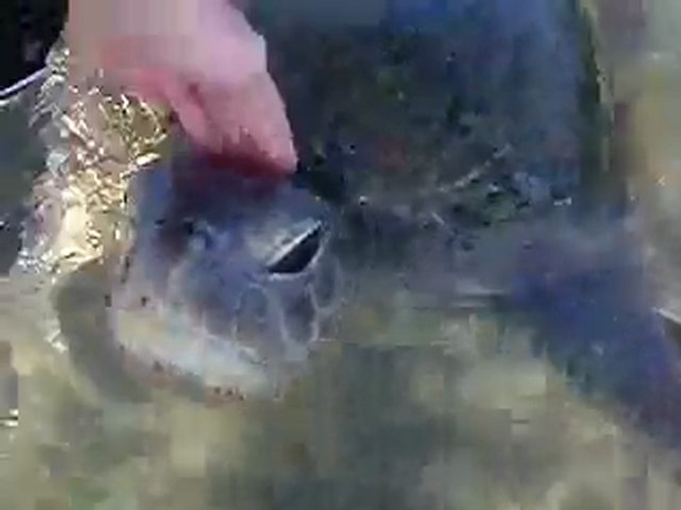 Tour Sri Lanka, Travel Sri Lanka, Hotels in Sri Lanka, Holiday in Sri Lanka