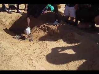 Turtle Hatching on Manda Island at The Majlis Resort, Kenya