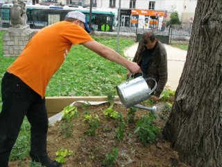 Le jardin d'Emmaüs Solidarité