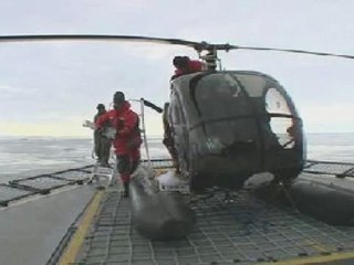 Whale Wars Season 4 Episode 8