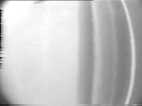 взятка директора ИЛА РАН