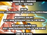 Dragon Ball Z Abridged 12, napisy pl