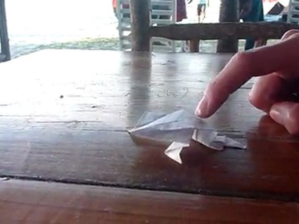 grenouille origami